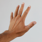 the chain ring