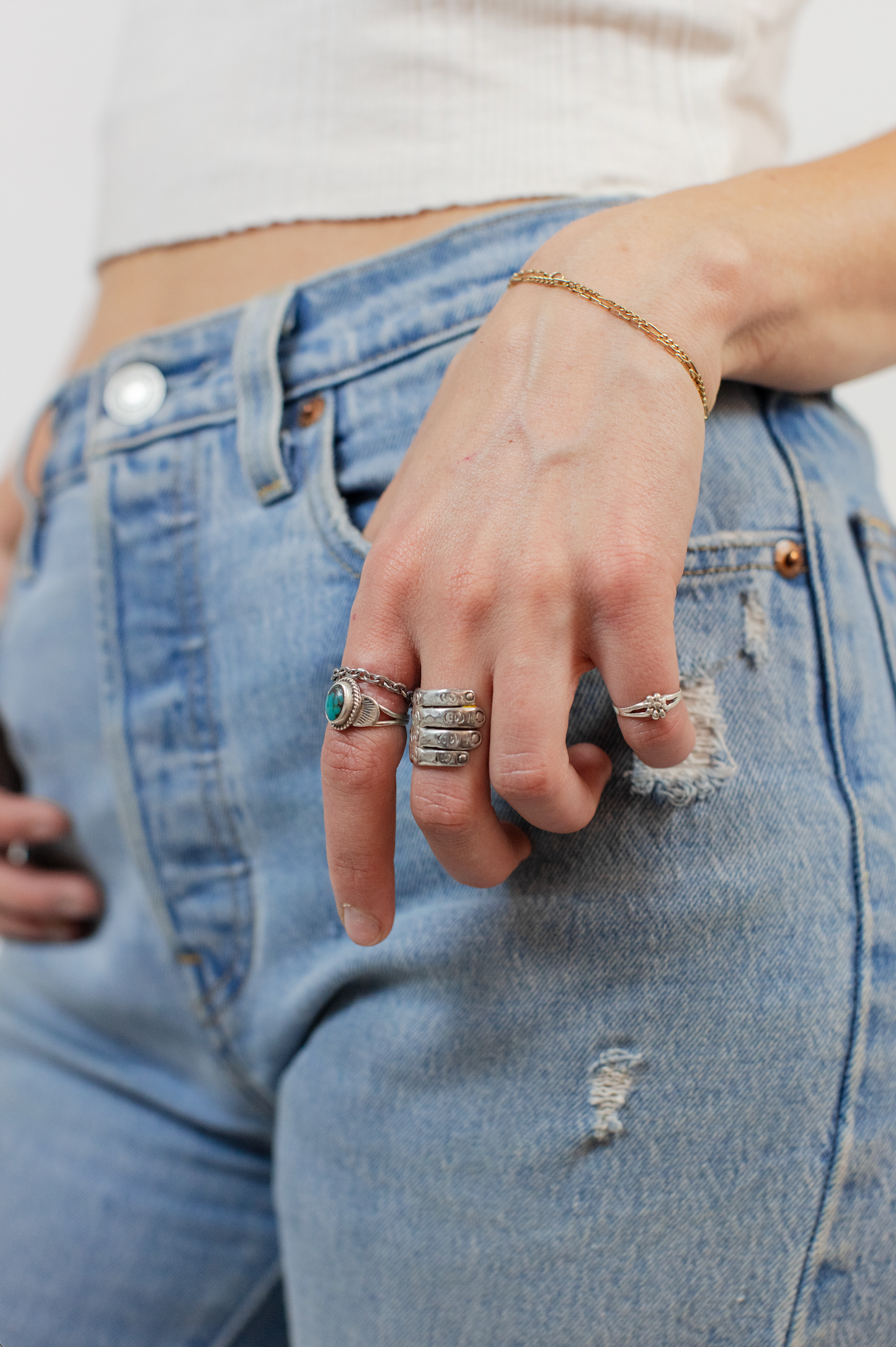 the chain ring