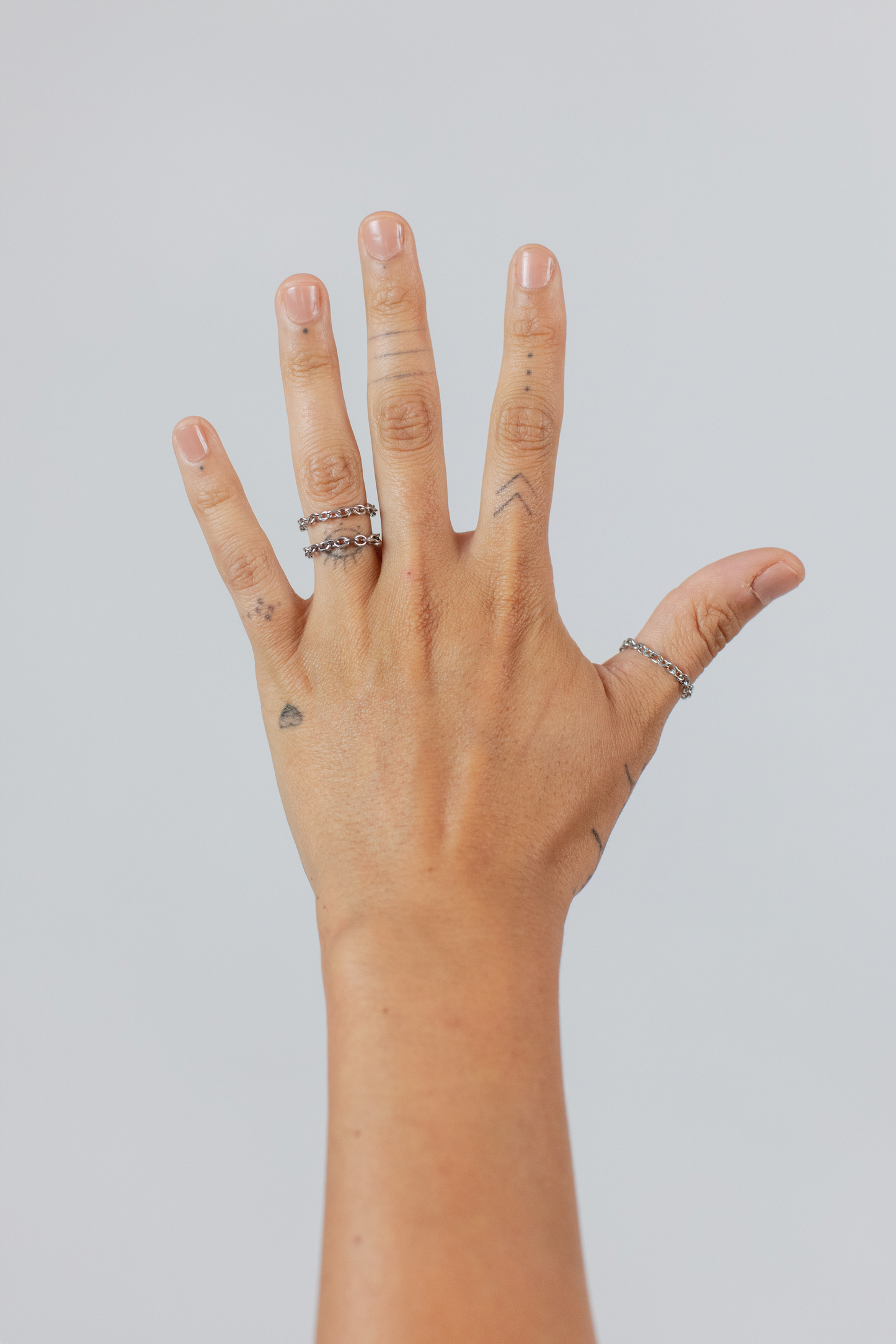 the chain ring
